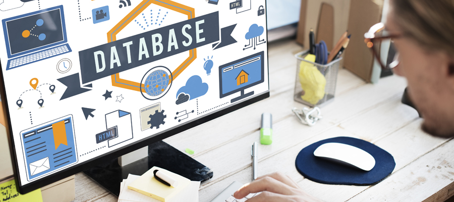 Custom Database Development and Design using Microsoft SQL Server and MS Access
