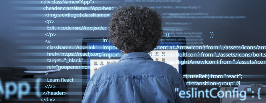 Custom Development and Programming using Microsoft .Net Framework
